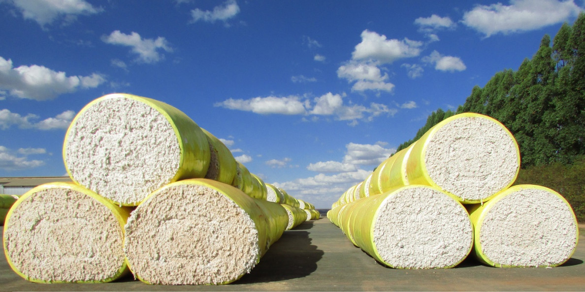 Brazil's cotton export up despite domestic market liquidity challenges